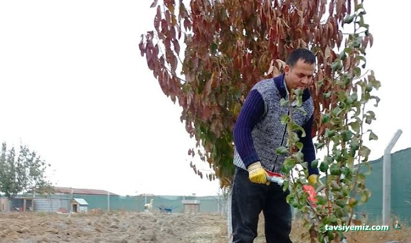 Bahçe Çapalama Ankara