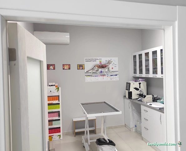 Bal Peteği Veteriner Kliniği Bal Peteği Veteriner Kliniği