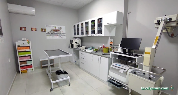 Bal Peteği Veteriner Kliniği Bal Peteği Veteriner Kliniği