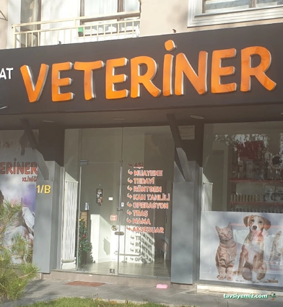 Balgat Veteriner Kliniği Balgat Veteriner Kliniği
