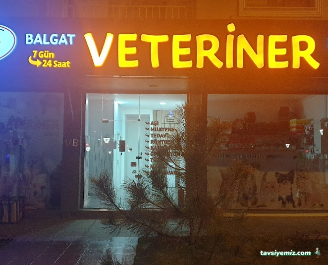Balgat Veteriner Kliniği Balgat Veteriner Kliniği