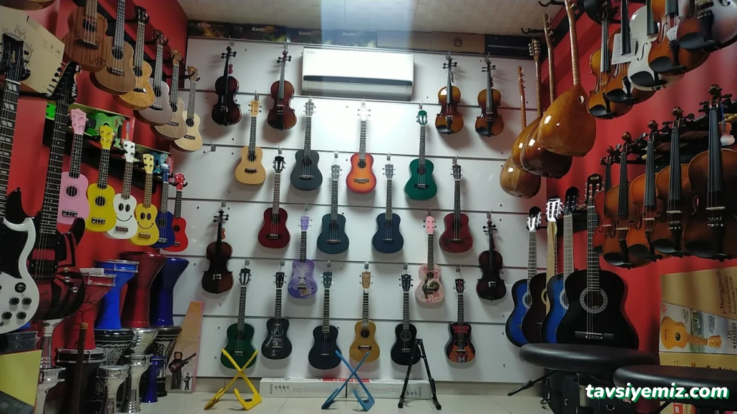 Balım Müzik Karabük Balım Müzik Karabük