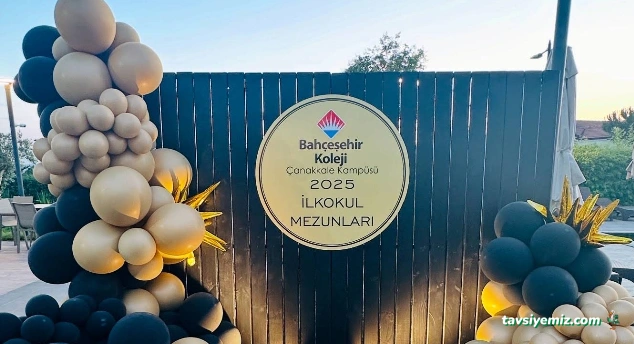 Barbarossa Organizasyon