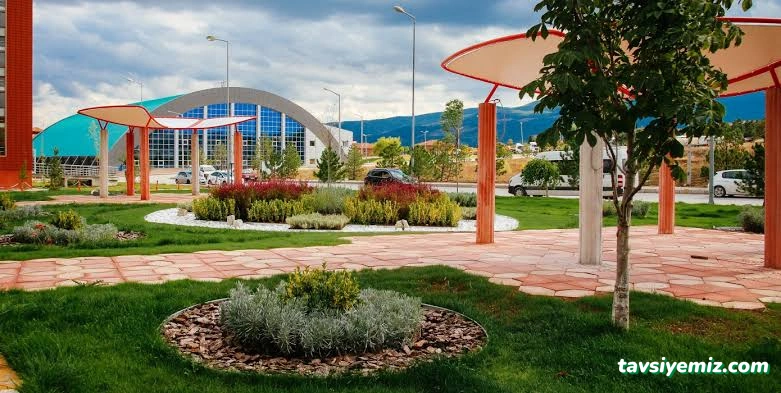Bartın Peyzaj Bartın Peyzaj