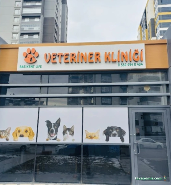 Batıkent Life Veteriner Kliniği-Batıkent Veteriner-Batıkentte Veteriner-Yenimahalle Veteriner Batıkent Life Veteriner Kliniği-Batıkent Veteriner-Batıkentte Veteriner-Yenimahalle Veteriner