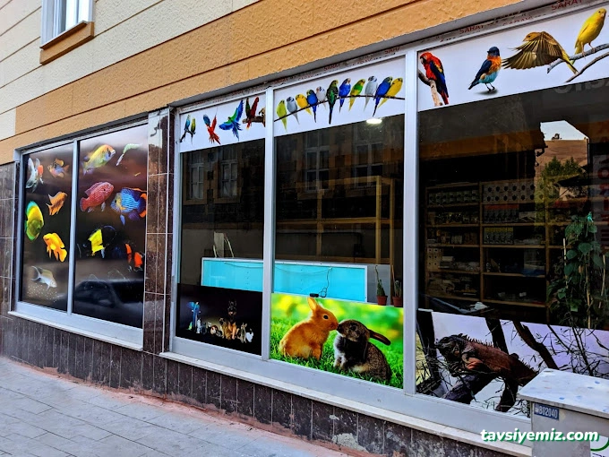 Bayburt Akvaryum Petshop Bayburt Akvaryum Petshop