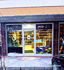 Bayburt Akvaryum Petshop Bayburt Akvaryum Petshop