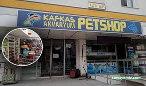 Bayburt Akvaryum Petshop Bayburt Akvaryum Petshop