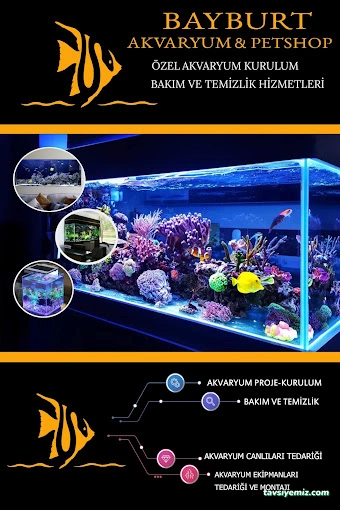 Bayburt Akvaryum Petshop Bayburt Akvaryum Petshop