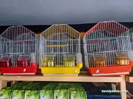 Bayburt Akvaryum Petshop Bayburt Akvaryum Petshop