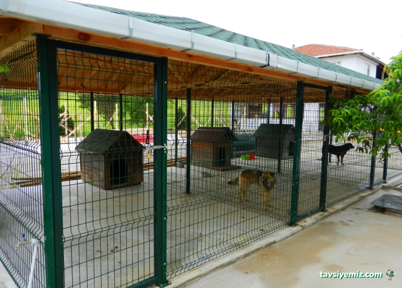 Bayburt Belediyesi Veteriner İşleri Müdürlüğü