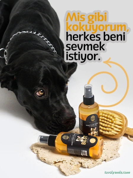 B&B Kozmetik B&B Kozmetik