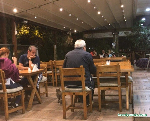 Nejla'nın Yeri Cafe & Restaurant Nejla'nın Yeri Cafe & Restaurant