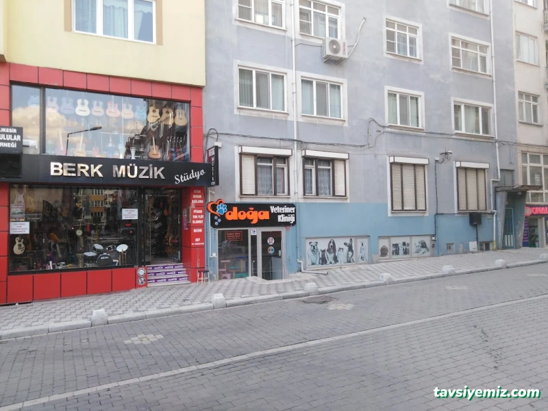 Berk Müzik Altıeylül Merkez
