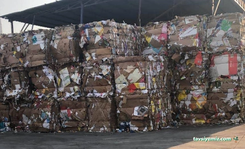 Beste Geri Dönüşüm