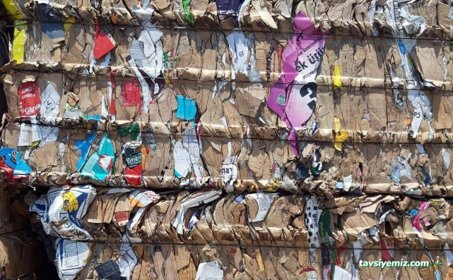 Beste Geri Dönüşüm