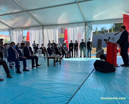 Beste Organizasyon