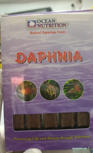 Betta Marketim Petshop Betta Marketim Petshop