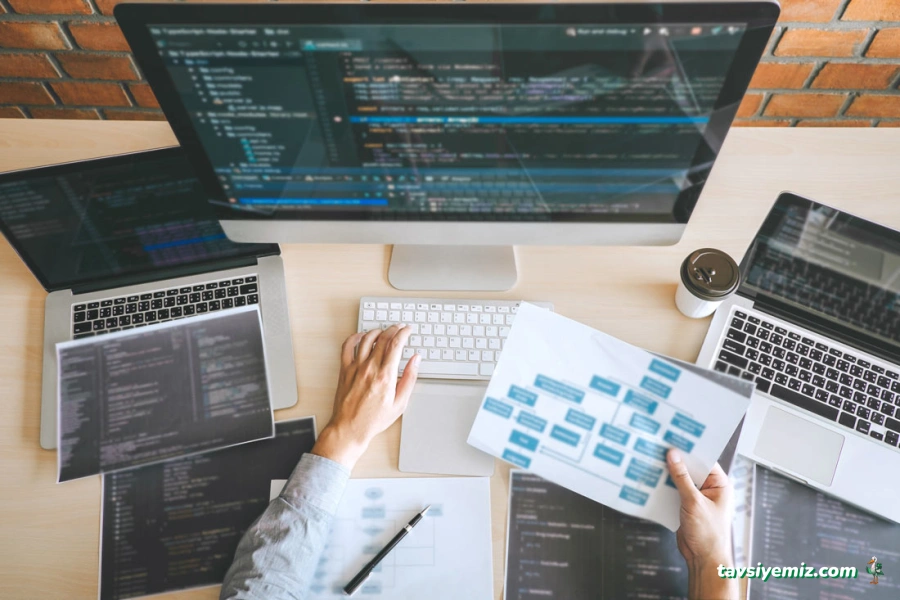 Bil-San Yazılım Sistemleri (Dolphin Software)