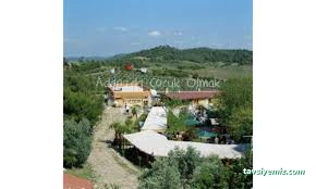 Birbeyaz Organik Birbeyaz Organik