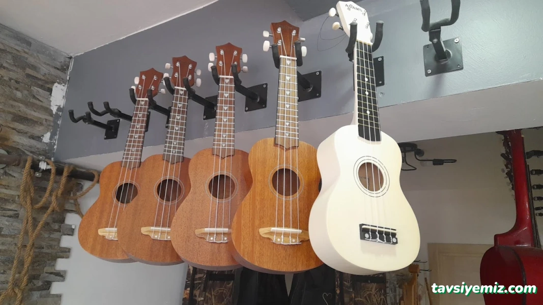 Bircan Müzik Evi /Kurs Merkezi Bircan Müzik Evi /Kurs Merkezi