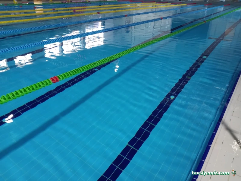 Birlikte Yüzme Spor Kulübü Birlikte Yüzme Spor Kulübü