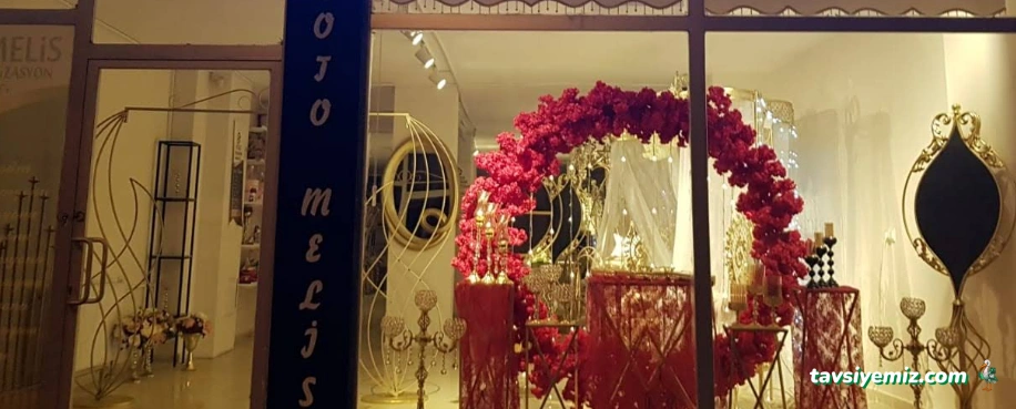 Bitlis Tatvan Organizasyon