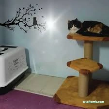 Bize Bırak Kedi Oteli Bize Bırak Kedi Oteli