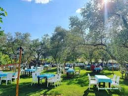 Bizim Bahçe Kahvaltı Et&Balık Restaurant Bizim Bahçe Kahvaltı Et&Balık Restaurant