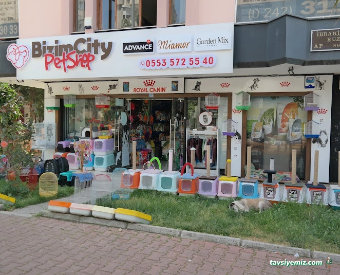 Bizim City Petshop Bizim City Petshop