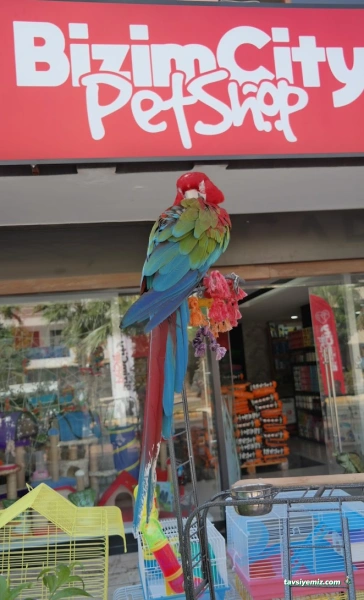 Bizim City Petshop Bizim City Petshop
