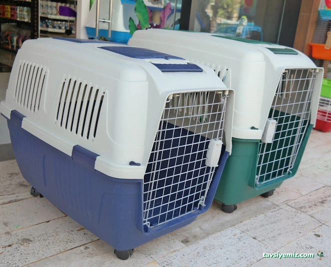 Bizim City Petshop Bizim City Petshop
