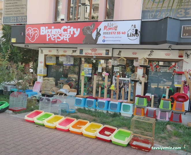 Bizim City Petshop Bizim City Petshop
