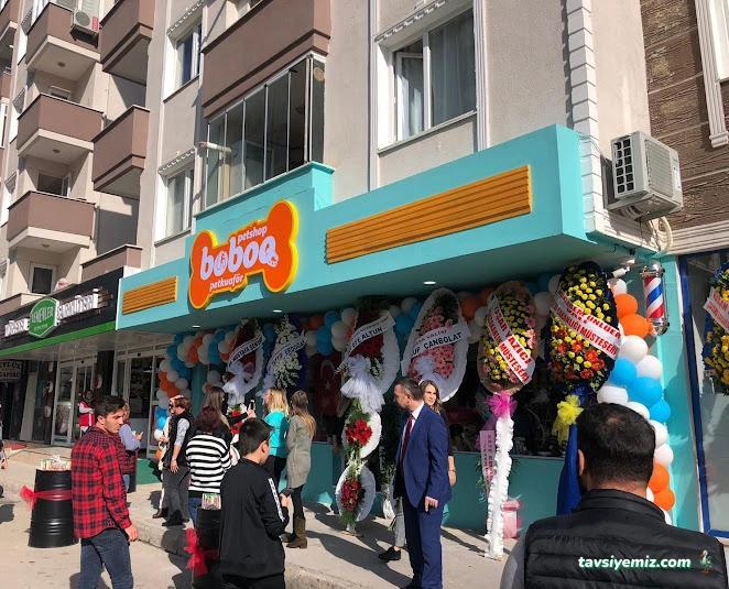 Boboo Pet Shop & Kuaför Boboo Pet Shop & Kuaför