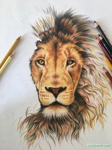 Bol Ahenk Sanat Evi Bol Ahenk Sanat Evi