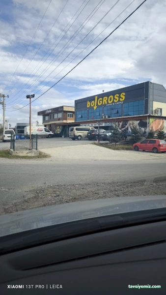 Bol Gross