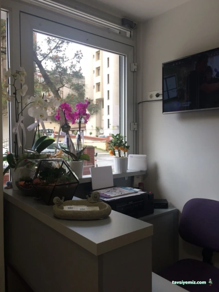 Bostancı Veteriner Muayenehanesi / Kliniği Bostancı Veteriner Muayenehanesi / Kliniği