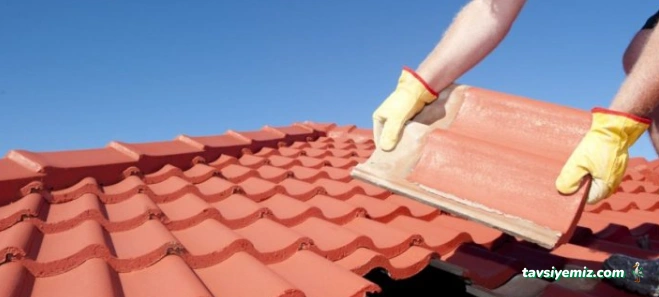 Bozkurtlar İnşaat & Nakliye