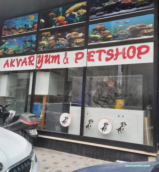 Bursa Cihan Akvaryum & Petshop