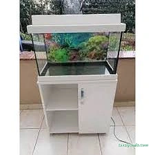 Bursa Cihan Akvaryum & Petshop