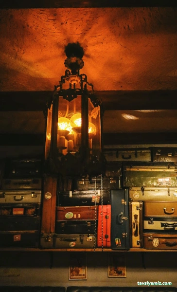 Cafe Botanica Cafe Botanica