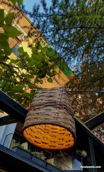 Cafe Botanica Cafe Botanica