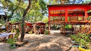 Çakırlar Sedir Gözleme /Çakırlar Antalya Çakırlar Sedir Gözleme /Çakırlar Antalya