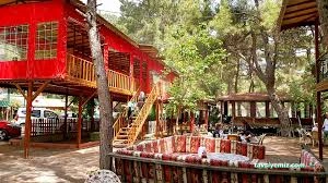 Çakırlar Sedir Gözleme /Çakırlar Antalya Çakırlar Sedir Gözleme /Çakırlar Antalya