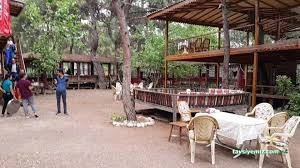 Çakırlar Sedir Gözleme /Çakırlar Antalya Çakırlar Sedir Gözleme /Çakırlar Antalya