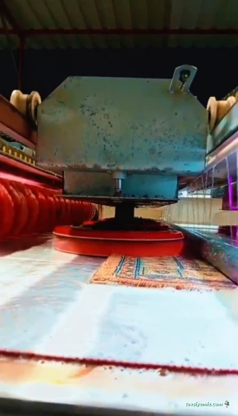 Çalıkuşu Halı Yıkama