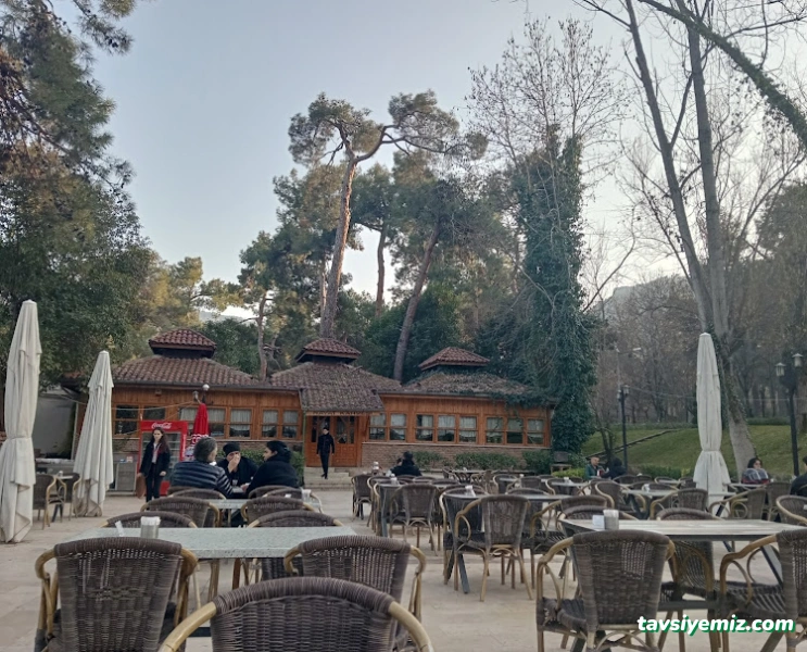 Çamlık Çay Bahçesi / Hayat Kahvesi Çamlık Çay Bahçesi / Hayat Kahvesi