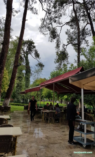 Çamlık Çay Bahçesi / Hayat Kahvesi Çamlık Çay Bahçesi / Hayat Kahvesi