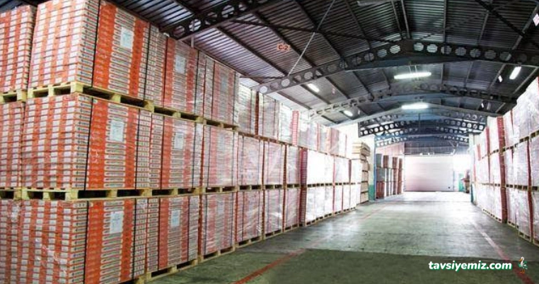 Çamsan Ordu Ağaç San. Ve Tic. A.ş.