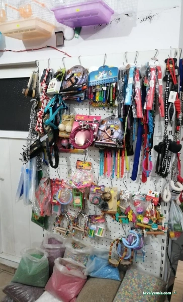 Canan Petshop Canan Petshop